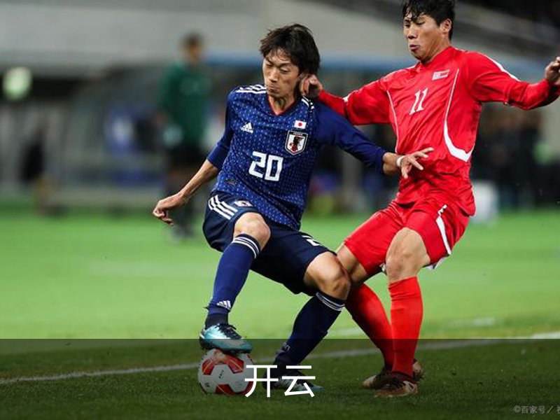 开云简介