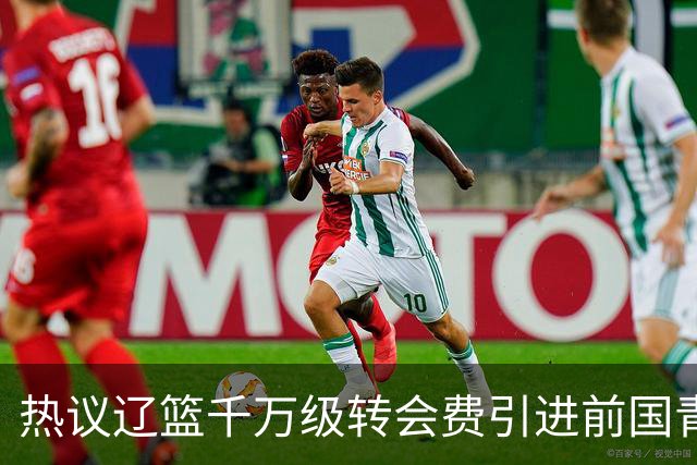 热议辽篮千万级转会费引进前国青队长：双向奔赴有望接班赵继伟